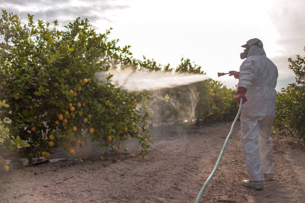 Best Commercial Pest Control Services  in Hudson Bend, TX