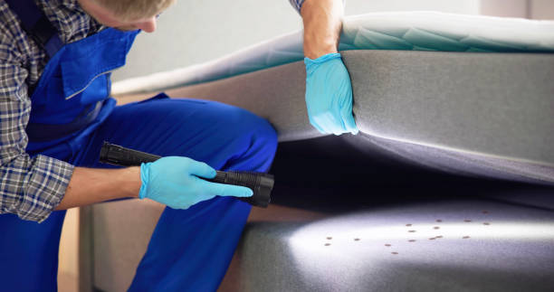 Best Best Pest Control Companies  in Hudson Bend, TX