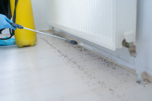 Best Wildlife Control Services  in Hudson Bend, TX